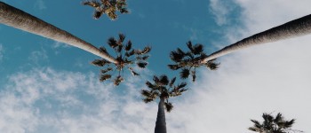 Partir en vacances avec son SII sans soucis !